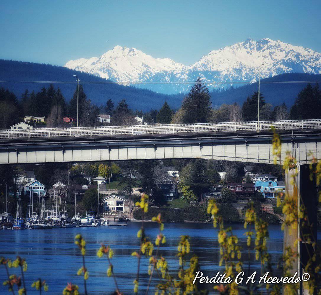 Olympics over Warren Ave Bridge courtesy of Perdita Gudrun Andrea Acevedo