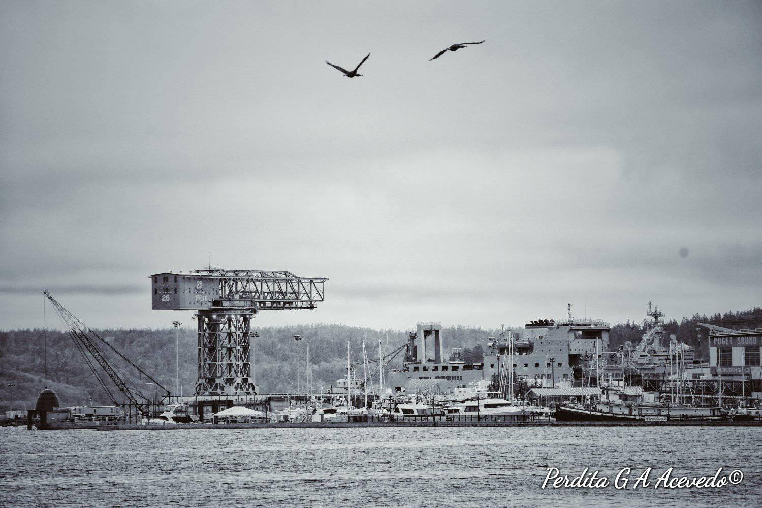 PSNS Crane photo courtesy Perdita Gudrun Andrea Acevedo