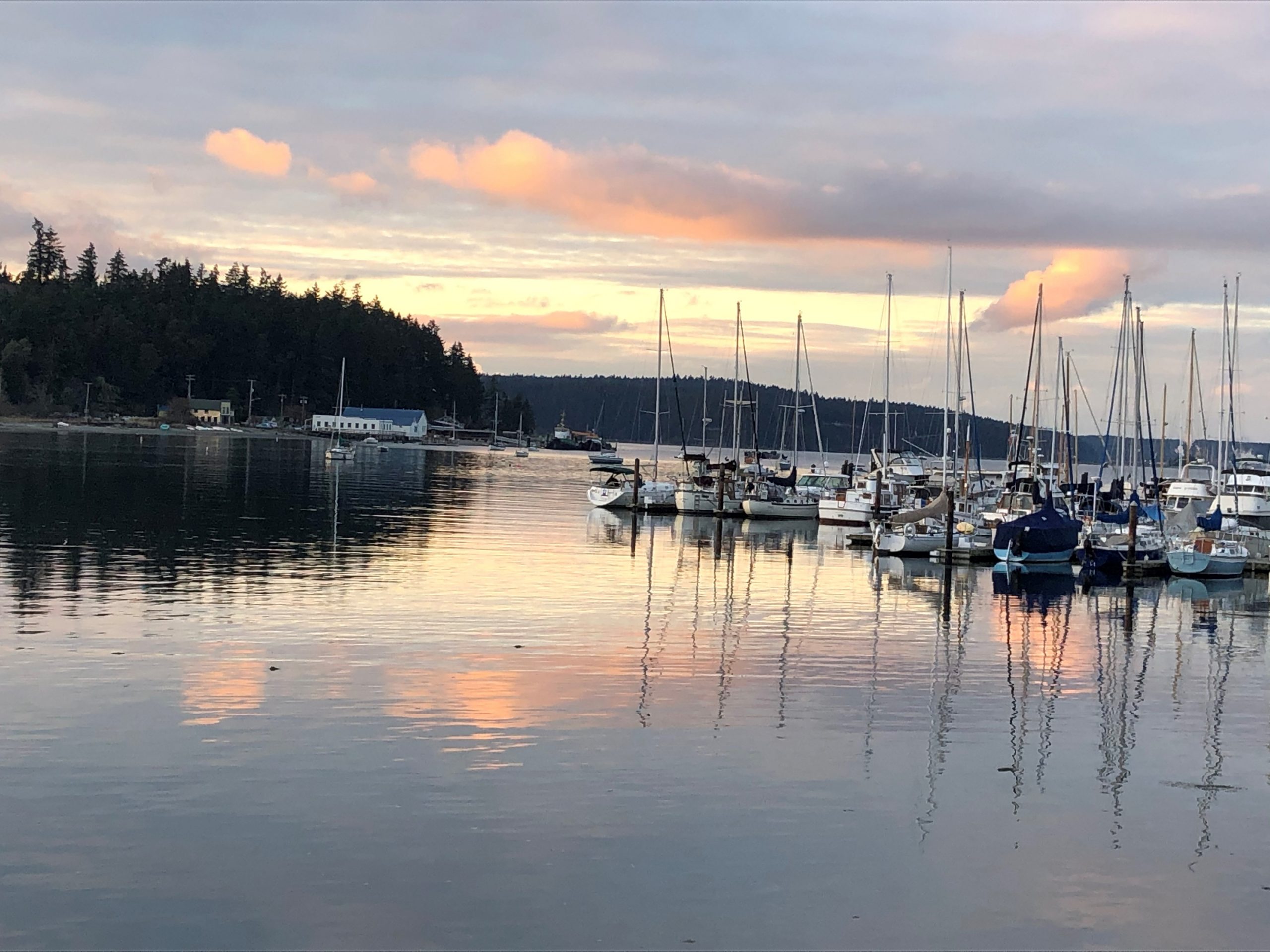 Port-Hadlock-Marina-scaled.jpg
