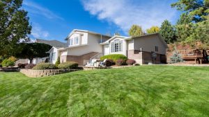house lawn hill