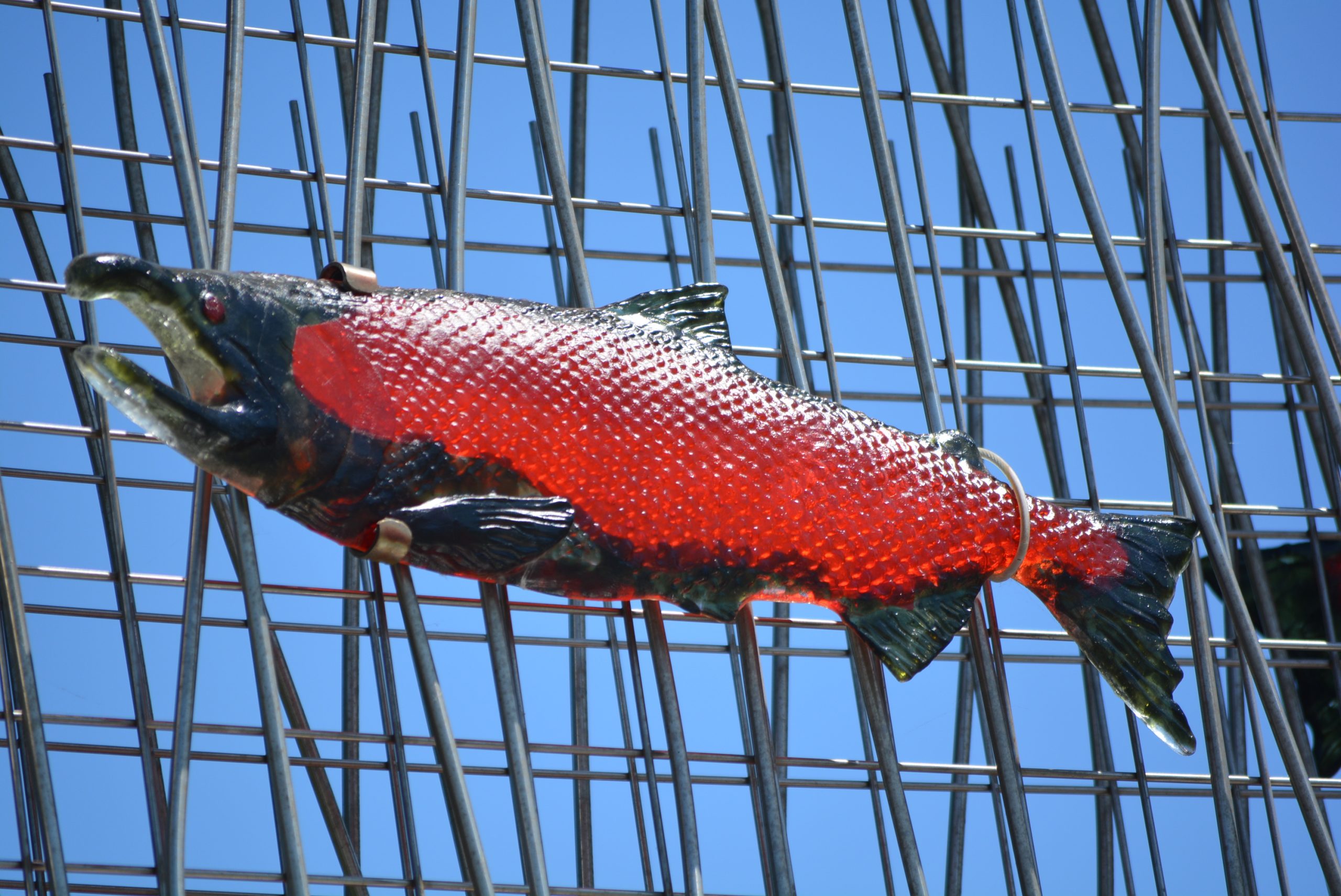 Lisa Stirrett Salmon Fish sculpture Silverdale