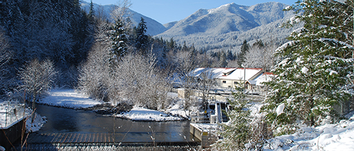 Quilcene National Fish Hatchery
