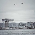 Perdita Gudrun Andrea Acevedo -psns crane bw waterfront