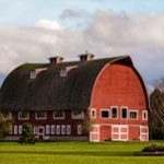 Sequim Barn in February - Patrice Sanders