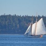 sailboat windermere web